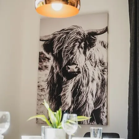 Aberle Apartment